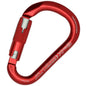 Kong Classic HMS RISE Lock