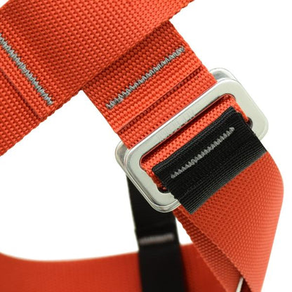 Alp Design Compact Harness