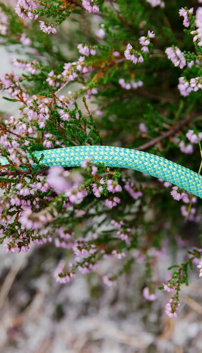 Edelrid Eagle Lite Eco Dry 9.5mm Dynamic Rope  - Coral