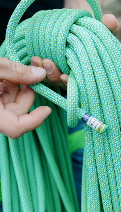 Edelrid Eagle Lite Eco Dry 9.5mm Dynamic Rope  - Coral